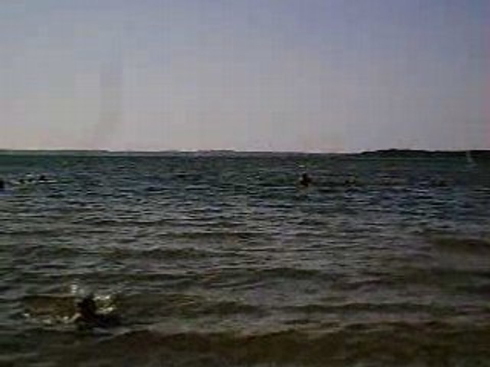 IMG_0006