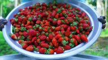 1000 STRAWBERRY _ Rava Kesari Recipe using Strawberry Jam _ Strawberry Recipe Cooking in Village
