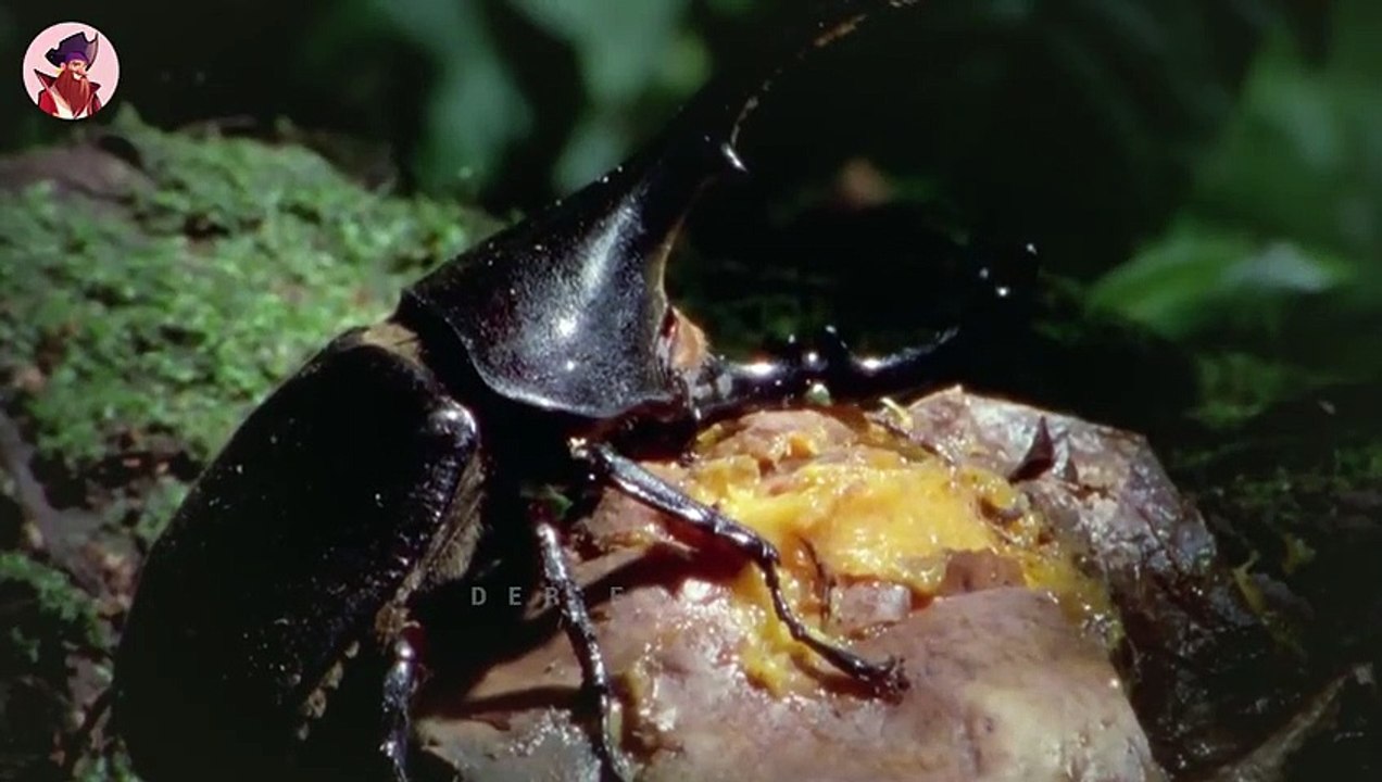 15 gnadenlose Jagden in der Wildnis Kirgistans