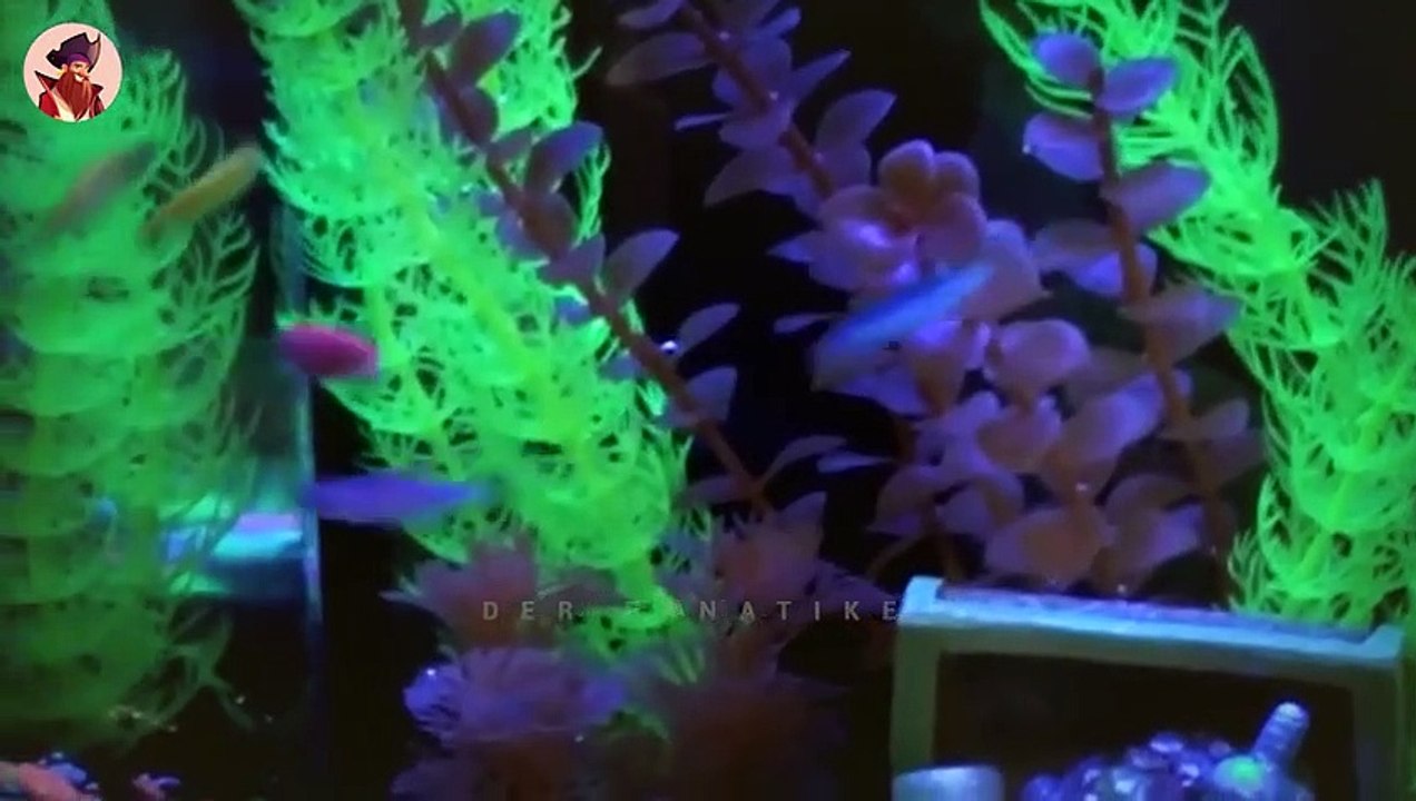 15 gruselige Tiere, die von Menschen im Labor erschaffen wurden