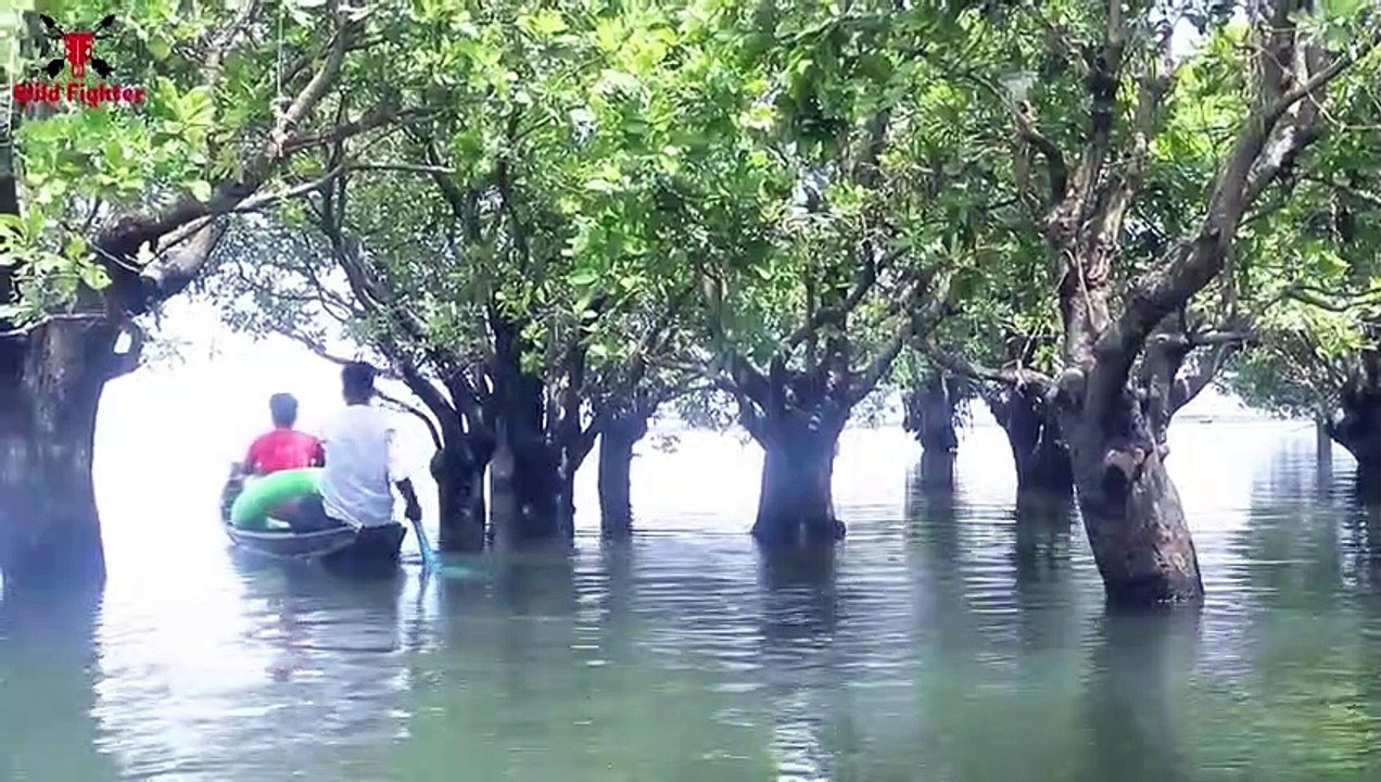 Shark Attack Man In Sea Shark zone   Shark Fish Attack at Fishing Time Fun Made Movie