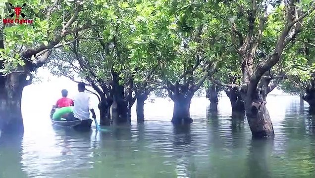 Shark Attack Man In Sea Shark zone Shark Fish Attack at Fishing Time Fun Made Movie (2)