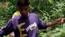 Electric Eel Fish Attack Man in River at Fishing Time   Shocked by an Electric Eel Fun Made Movie