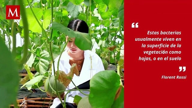 Nubes transportan bacterias resistentes a fármacos