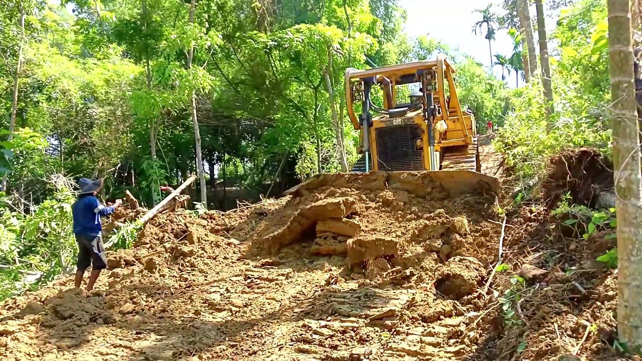 Power Bulldozer D6R XL Rolls Over Big Timber in Mountain Plantation