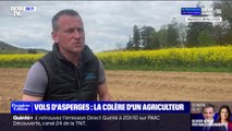 Vols d'asperges: cet agriculteur joue la carte de la sensibilisation