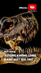 Xương khủng long đang mất dần giá trị trong các phiên đấu giá | #MKL1min