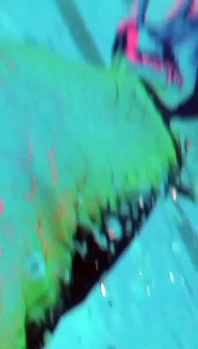 Big Mermaid Tail for Adult Women Men Mermaid Tail No Flipper Beach Costumes Mermaid Swimsuits