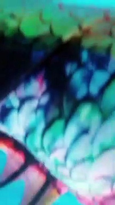 Big Mermaid Tail for Adult Women Men Mermaid Tail No Flipper Beach Costumes Mermaid Swimsuits