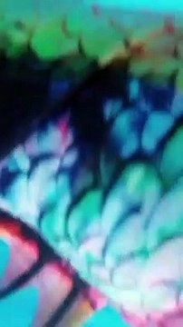 Big Mermaid Tail for Adult Women Men Mermaid Tail No Flipper Beach Costumes Mermaid Swimsuits