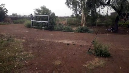 weather alert : तेज अंधड़ के साथ बारिश, मंडी में भीगी जिंस Video