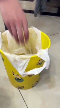 Rabbit Funny Moments | Animals Funny Moments | Cute Pets | Funny Animals #animals #pets #rabbit #4u