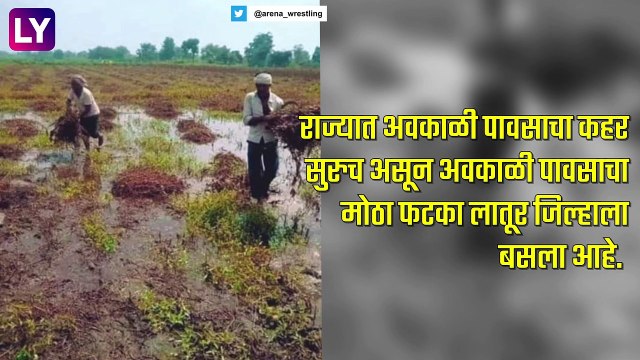 Unseasonal Rain: अवकाळी पावसामुळे फळबागांचे मोठे नुकसान, लातुर जिल्ह्याला मोठा फटका