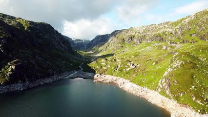 forest 4k scene usa forest