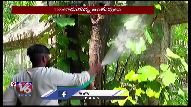 Due To Summer Heat Water Sprinklers Are Arranged At Vadodara Zoo Park _ Gujarat _ V6 News