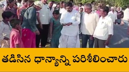స్టేషన్ ఘనపూర్: ప్రభుత్వపరంగా రైతులను ఆదుకుంటాం - ఎమ్మెల్యేే