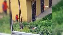 İzmir’de köpeğe işkence anbean kamerada