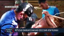 Petugas Damkar Evakuasi ODGJ Dari Atap Rumah