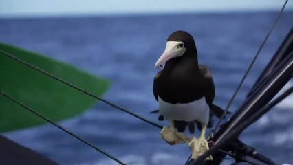 The 24 Hours that CHANGED The Race _ From the Boats _ Leg 4 27_04 _ The Ocean Race