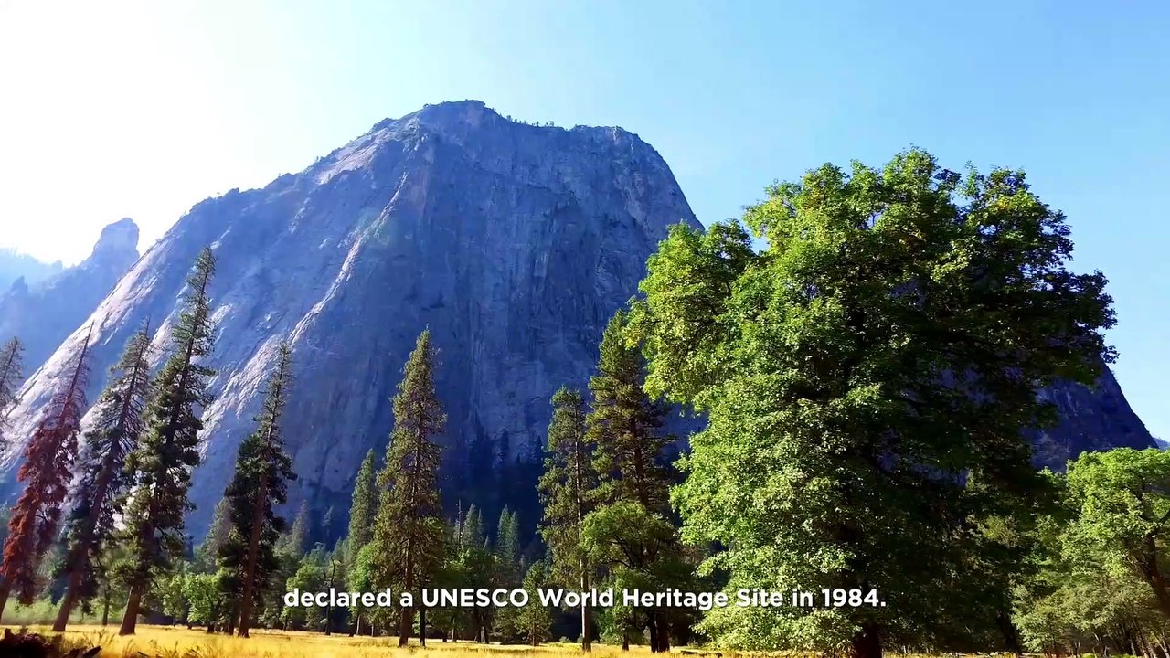 Premio Terra a la Iniciativa para los Desafíos Emergentes: Parque Nacional de Yosemite