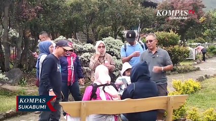 Wisata Alam Gunung Papandayan Alami Penyrunan Pengunjung