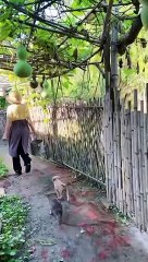 Enjoy beautiful nature with rural life