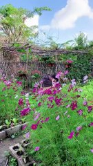 Enjoy beautiful nature with rural life