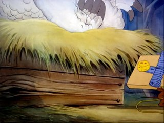 tom AND jerry best cartoons/kids funny/funny