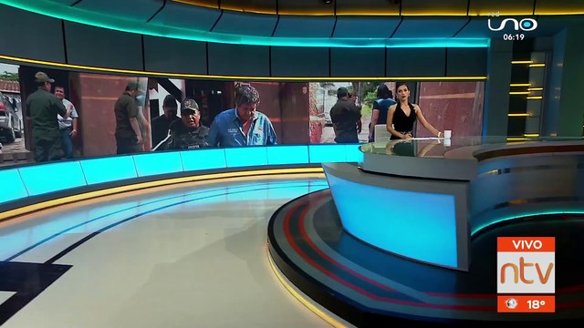 El animal me quiso morder y en el momento de rabia fue que lo agarre , hombre admite matar a un gato