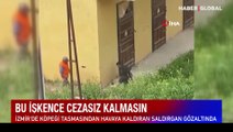Hayvana zulmün sonu gelmiyor: İzmir'de bir erkek, bir sokak köpeğine dakikalarca işkence etti
