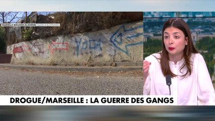 Najwa El Haïté : «Le cerveau de ses gros trafics se trouvent à l'étranger»