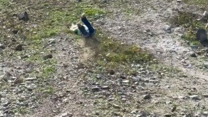 Woman falls hard face-first when trying to run down a slope