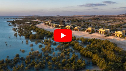 Sir Bani Yas Island: Explore UAE’s largest natural island