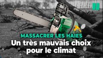 Les haies arrachées en France, un mauvais choix pour le climat