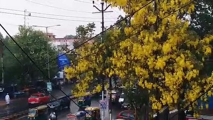 Jhansi News : गरज के साथ हुई बारिश, गर्मी से मिली राहत