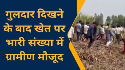 बिजनौर: जंगल में फिर दिखाई दिया गुलदार, ग्रामीणों की जुटी भीड़