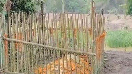 উঃ দিনাজপুর: পুলিশের তদন্তে আস্থা নেই‚সিবিআই তদন্তের দাবি