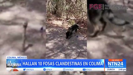 Download Video: Hallan fosas clandestinas en Colima