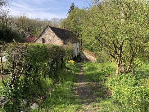 Promenons nous à Montignies sur Roc