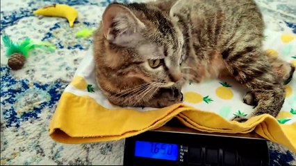 little silent hisses... so cute!