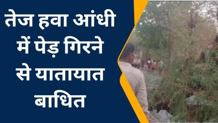 अलीराजपुर: आंधी तूफान के साथ तेज बारिश,पेड गिरने से यातायात बाधित