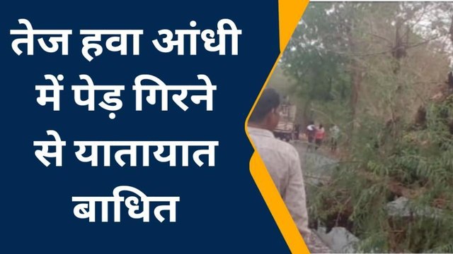 अलीराजपुर: आंधी तूफान के साथ तेज बारिश,पेड गिरने से यातायात बाधित