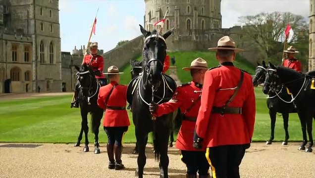 King gifted horse as head of Royal Canadian Mounted Police