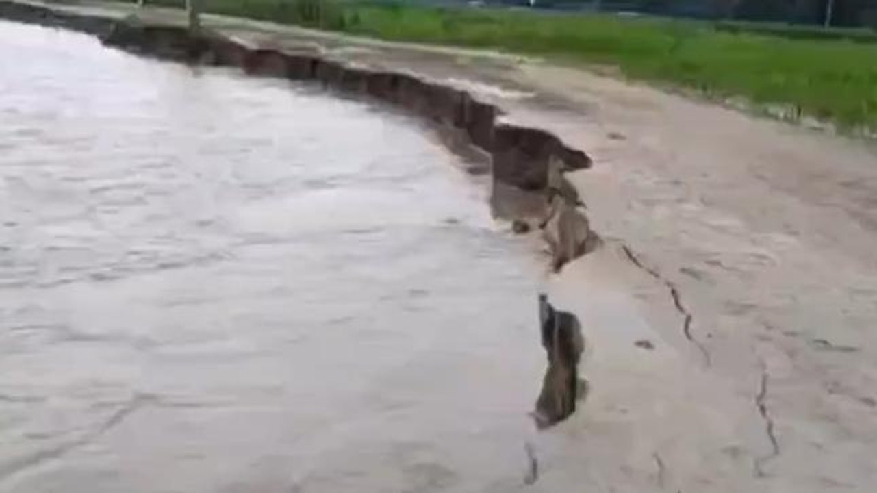 किशनगंज: नदी कटाव से लोगों में भय का माहौल, ग्रामीणों ने की कटाव निरोधी कार्य की मांग