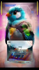 USB Top 5 Tipps und Tricks Stufe Ver.4 #USB