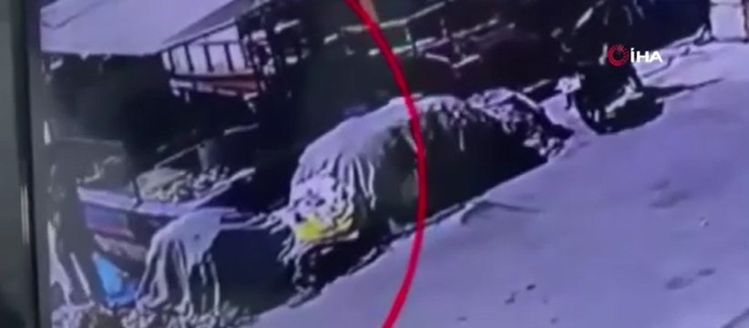 Balık tutarken denize düştü