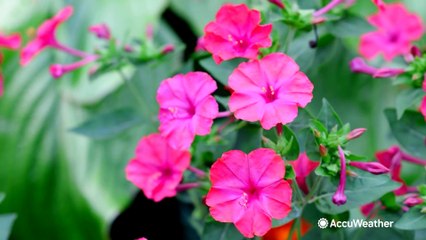 Top astronomy events for May 2023