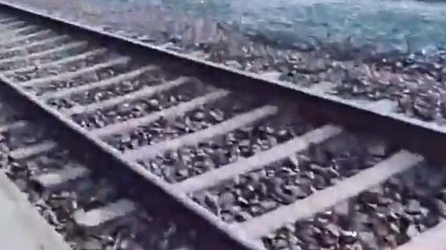 ब्रेकिंग न्यूज़: पटना पीजी रेलखंड पर मिला युवती का शव, हत्या कर फेंकने की आशंका