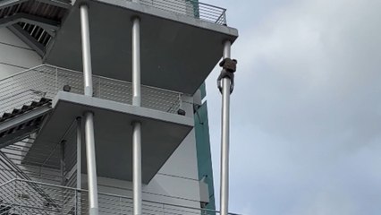 Parkour athlete redefines 'insanity' by Koala-Sliding down a building in Lisbon