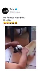 Wait for the twist#funny #shorts #comedy